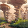 Mushrooms again