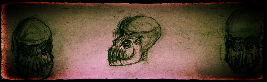 Creature Skull by LordYokai on DeviantArt