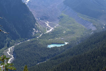 Valley under Mt Rainier