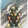 Wolverine drawn in Copic Markers