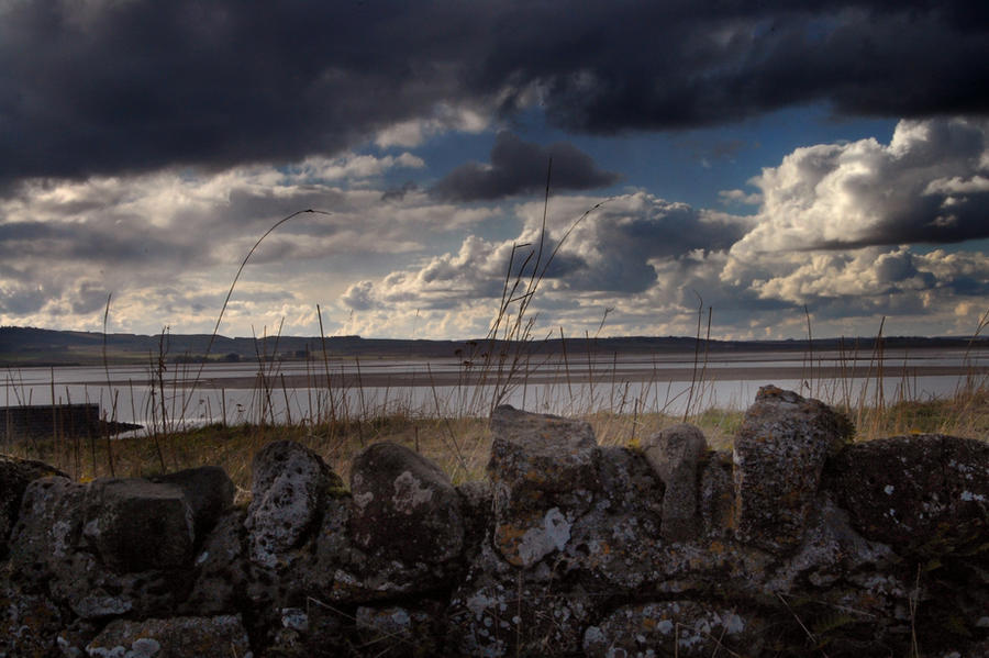 Holy Island Landscape