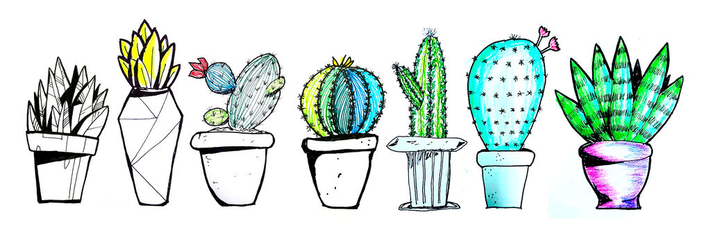 Plants