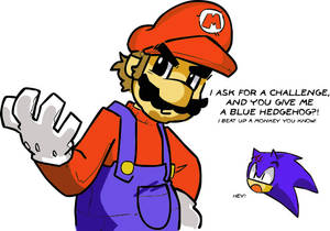 Mario And Sonic at the Colors