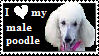 Male Poodle Stamp by LexiDog01