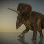 Triceratops test render 2