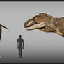 Tyrannosaurus size chart