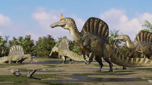 Spinosaurus mirabilis