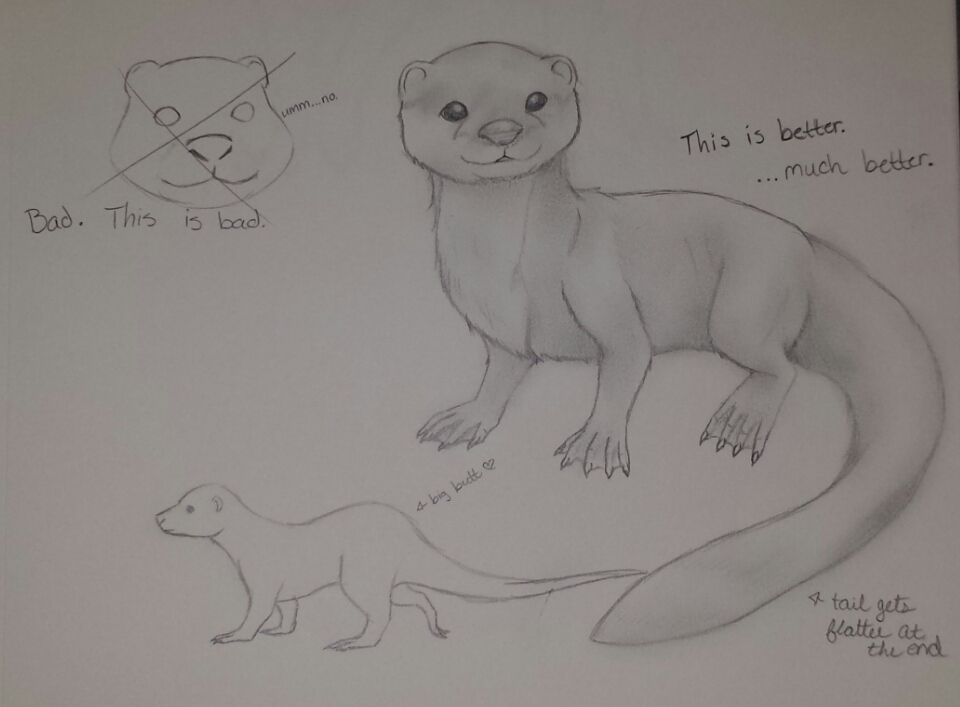 Otter Practice by Cardia-X on DeviantArt