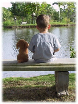 a boy and his dog