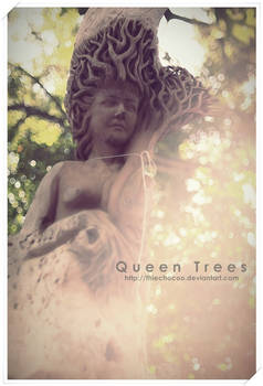 .: Queen Trees :.