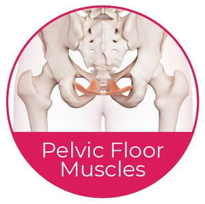 Pelvic Floor Physical Therapy