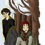 Harry and Ginny talk