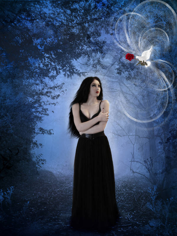 Hope by Noir1001