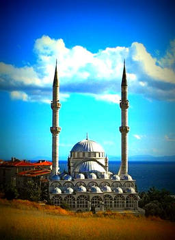 mosque - Tekirdag Tilki Selim Camii