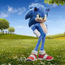 sonic standing in the meadow