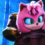 Amy is Coming in Sonic the Hedghehog 4