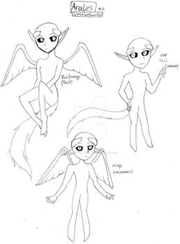 Araies Visual reference Part 2 Wings and tails