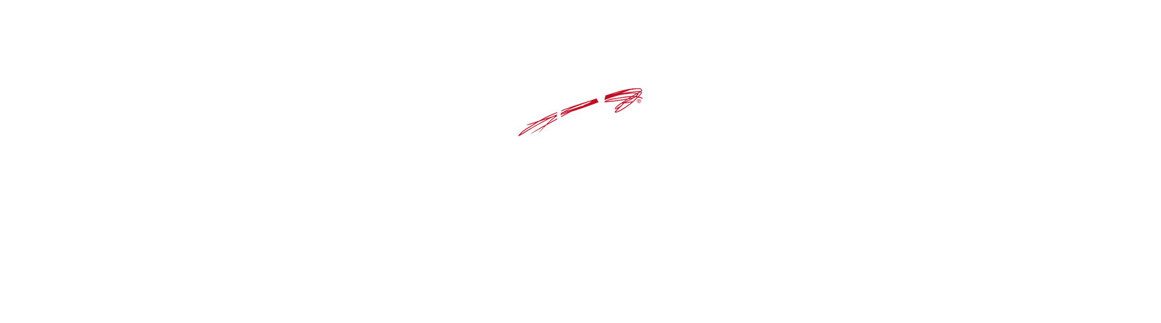 WWE Backlash (20002009) Logo by DarkVoidPictures on DeviantArt