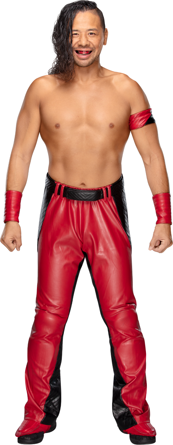 Shinsuke Nakamura, Puroresu System Wiki