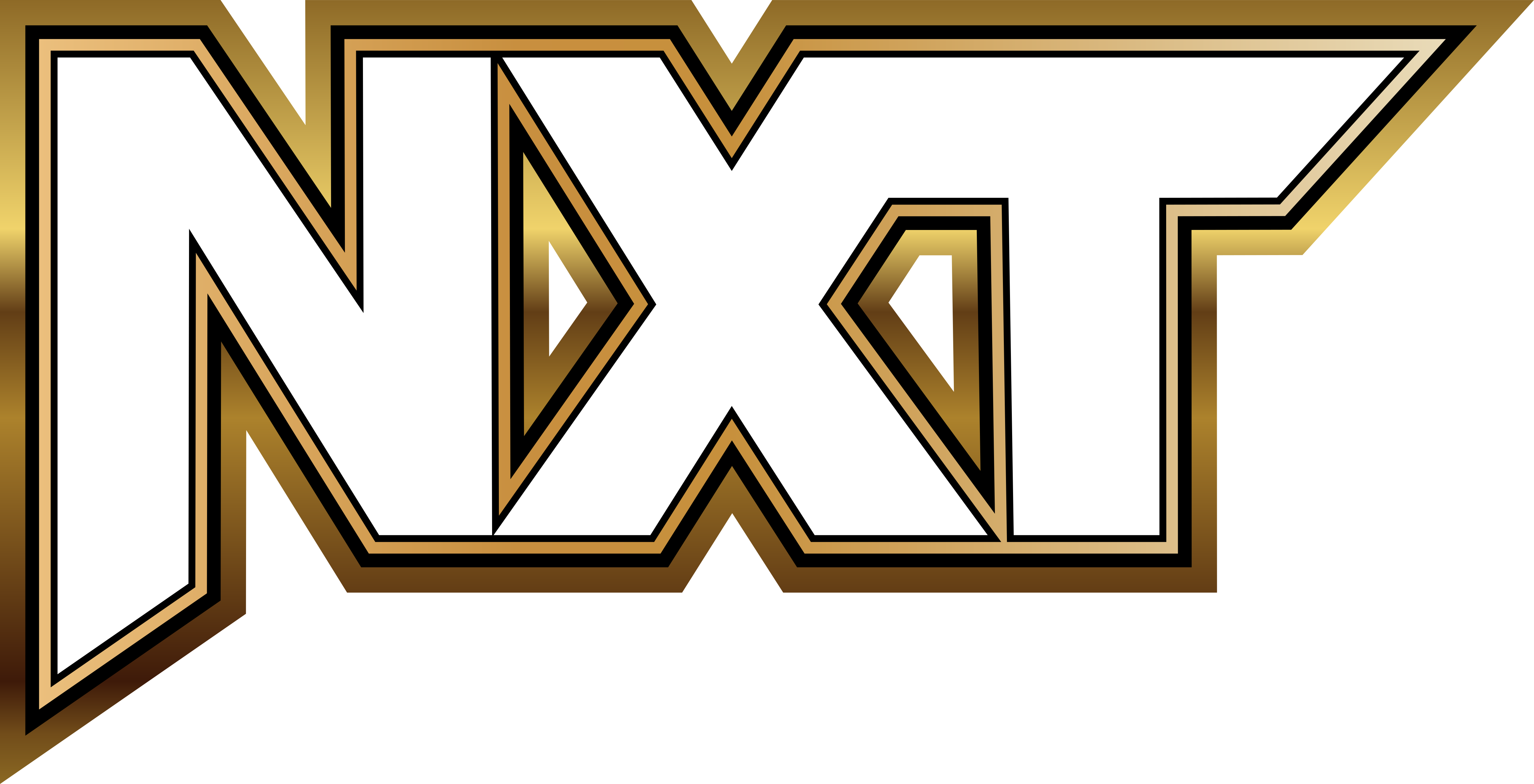 WWE NXT (2025) Logo by DarkVoidPictures on DeviantArt