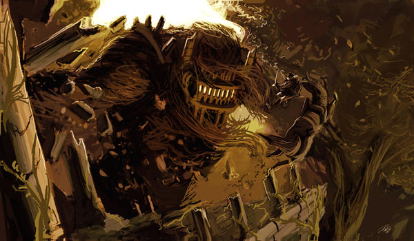Battle of the Colossus