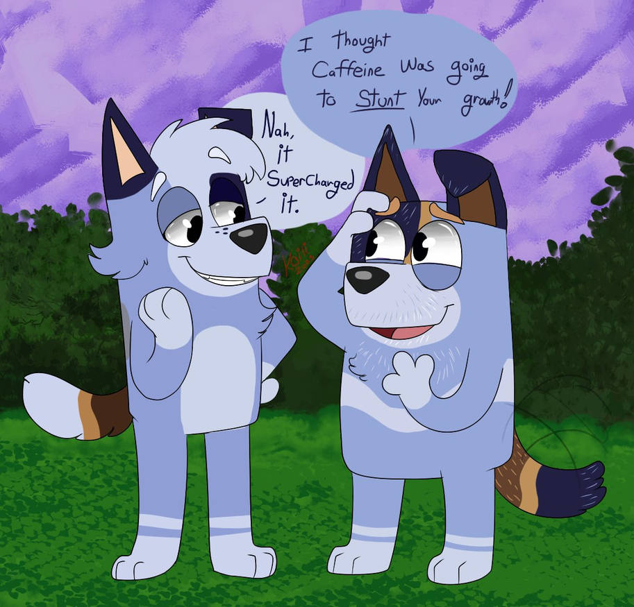 Future Bluey AU Socks And Stripe By Koili On DeviantArt future-bluey-au-socks-and-stripe-by-koili-on-deviantart