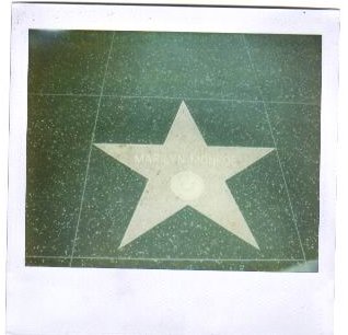 Polaroids in America:Hollywood