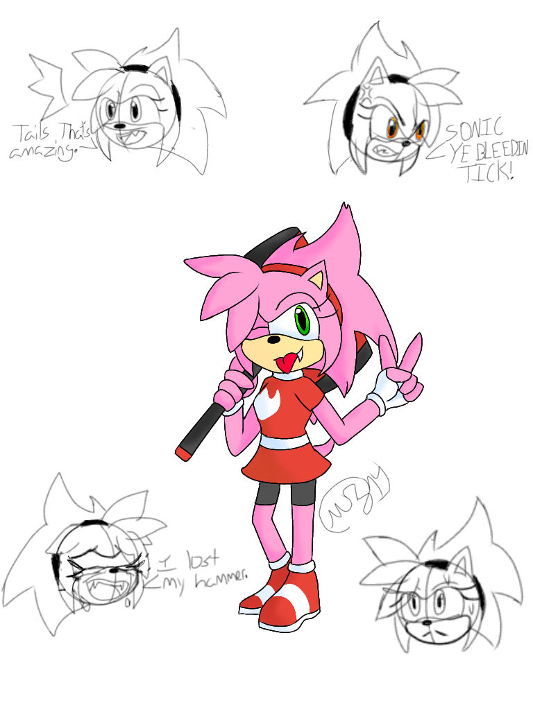 Amy Rascal Rose by MechaZilla14 on DeviantArt