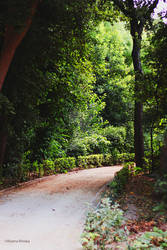 colourful path