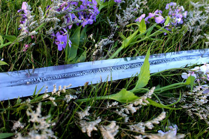 Explore the Best Rhindon Art | DeviantArt