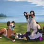 Playtime