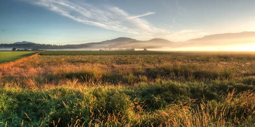 Skagit Morning