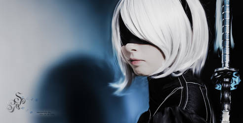 2B Cosplay - Blurr