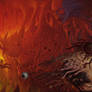 Heliopause fleets cover