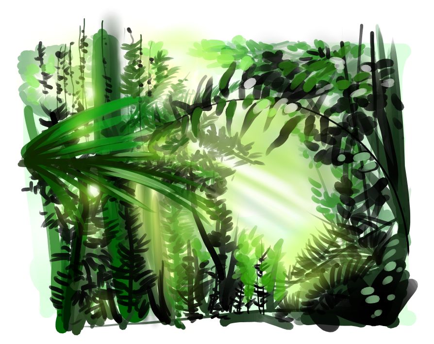 Rainforest study 02