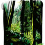 Rainforest study 03