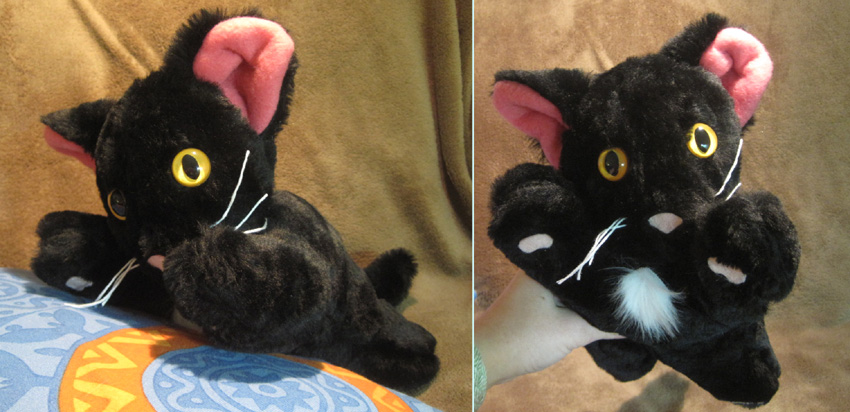 Plush Cat