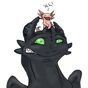 Toothless and the Axolotl