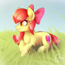 Apple Bloom