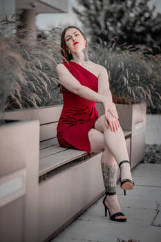 Red Dress 2