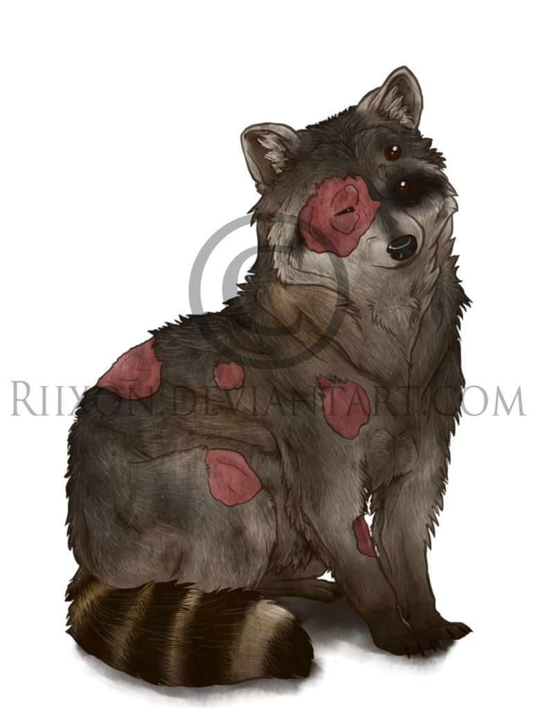 Mutant Raccon Mutant Raccoon by Riixon on DeviantArt