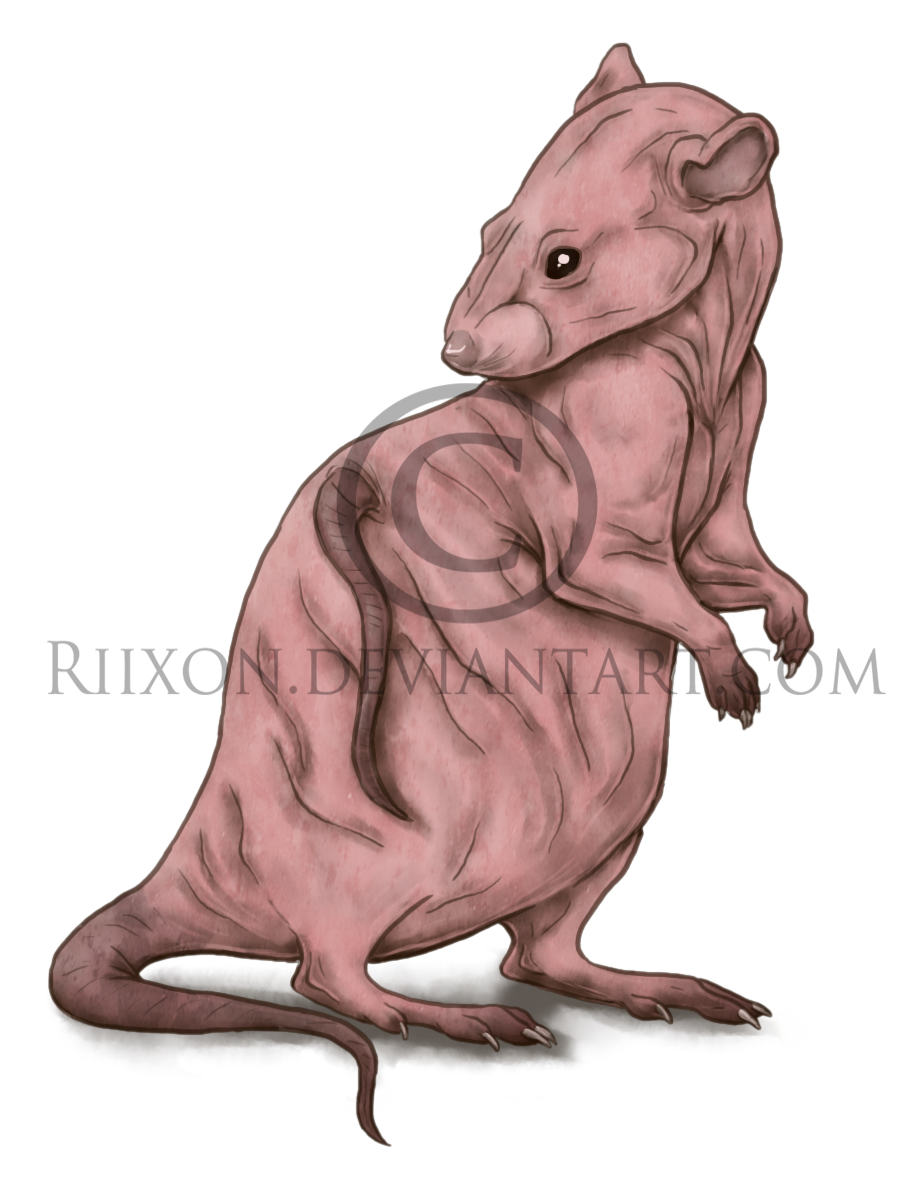 Mutant Humanoid Rats Mutant Rat by Riixon on DeviantArt