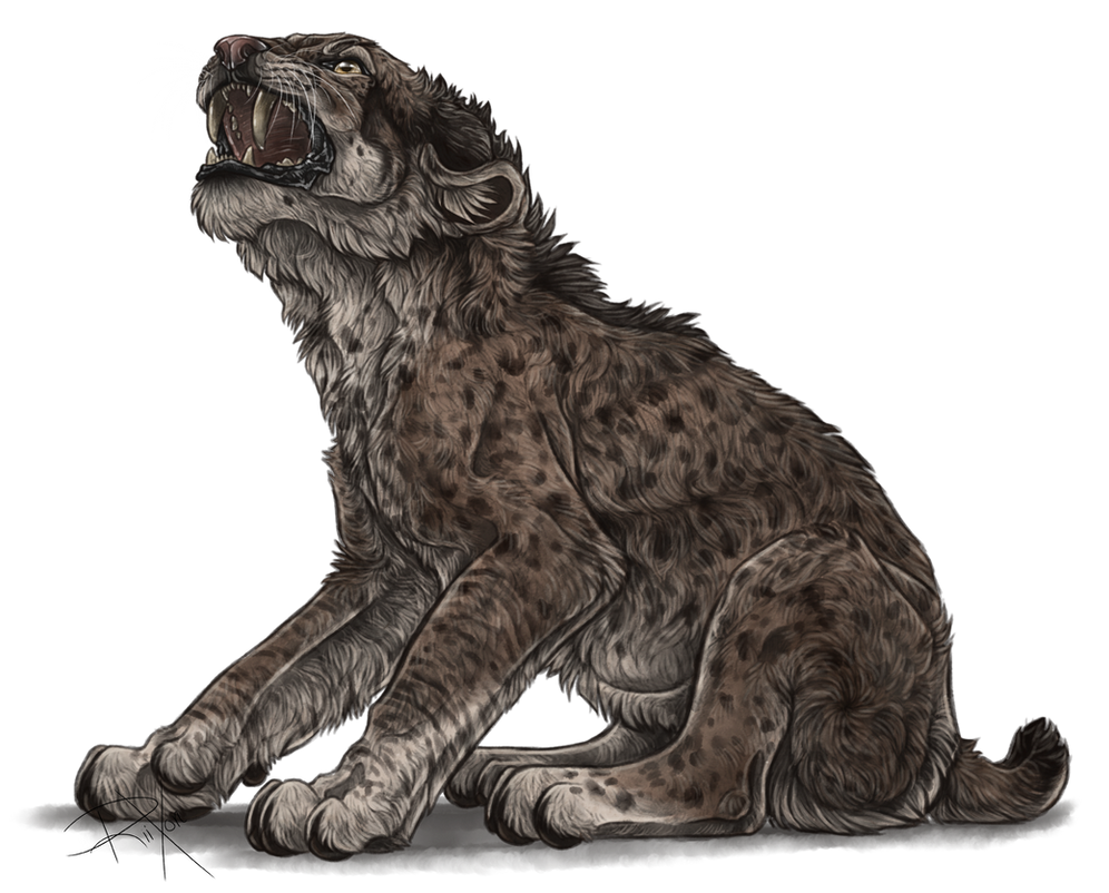 Fierce Smilodon Cub by Riixon on DeviantArt
