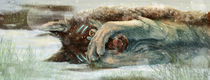 Jahla: Contest Entry