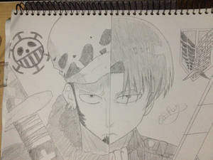 Trafalgar Law / Captain Levi