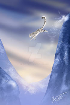 Snow Leopard Jumping