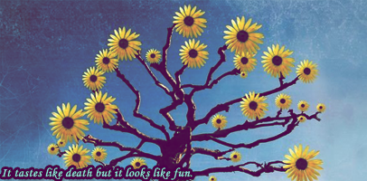 Pushing Daisies banner.