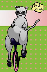 Fat Cat on A Unicycle.