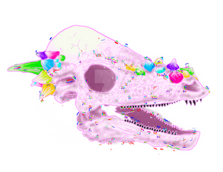 Skull Candy ~ Pachycephalosaurus