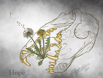 Hope on the Wind